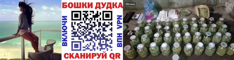 Псилоцибиновые грибы Дмитриев
