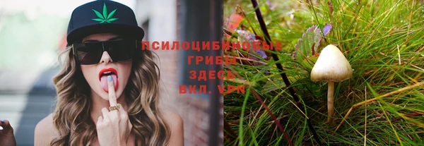 тгк Алексеевка