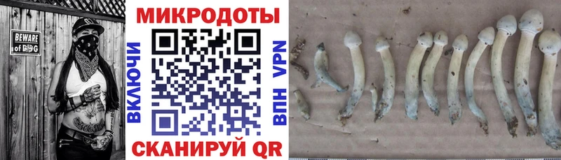 Псилоцибиновые грибы ЛСД Дмитриев